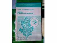 Chrysanthemum diseases and pests