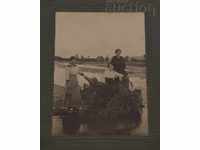 GIRLS YOUNG LADIES RIVER 1915 PHOTO CARDBOARD