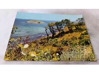 Postcard Arkutino Snake Island 1970