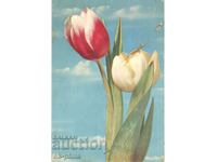 Old greeting card - Happy Spring! Tulips