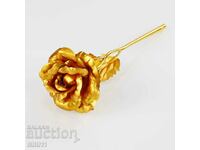 Golden rose, Golden rose flower