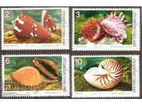 Pure brands Fauna Shells 1989 from Thailand