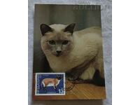 SIAMESE CAT CARD MAXIMUM 1988