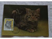 EUROPEAN CAT CARD MAXIMUM 1990