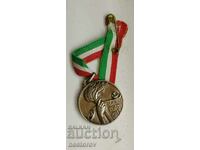 SILVER MILITARY MEDAL ITALY