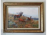 A family of red deer, picture, framed